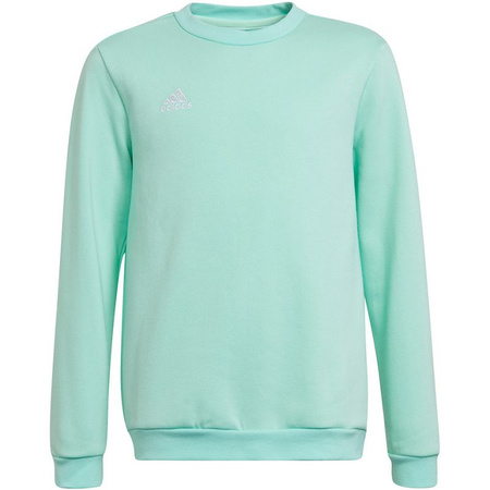 Bluza adidas Entrada 22 Sweat Top Jr (HC5042)