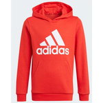 Bluza adidas Essentials Big Logo Hoodie Jr (GN4037)