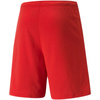 Spodenki Puma teamRISE Short M 704942 01 (70494201)