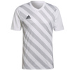 Koszulka adidas Entrada 22 Graphic Jersey M (HF0129)