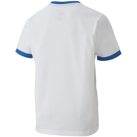 Koszulka Puma teamGOAL 23 Jersey Jr 704160 12 (70416012)
