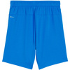 Spodenki dla dzieci Puma Team Goal niebieskie (705753 02)