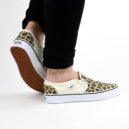 Buty Vans Asher (LEOPARD) ANTIQ VN000VOSBB8