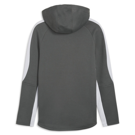 Bluza męskie Puma EVOSTRIPE FULL-ZIP HOODIE Szary (67899580)
