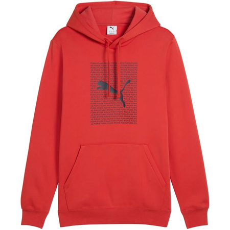 Bluza Puma Ess Logo Lab Hoodie FL M 684669 15 (1502043)