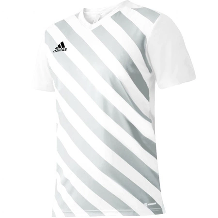 Koszulka adidas Entrada 22 Graphic Jersey Jr (HF0120)