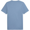 Koszulka Puma Ess 2 Color Small No. 1 Logo Tee M 684717 34 (1610597)