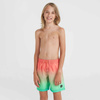 Szorty kąpielowe O'Neill Jack Cali Gradient 14'' Swim Shorts Jr (92800613570)