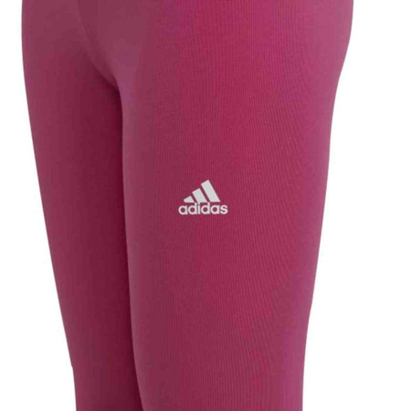 Legginsy adidas Essentials Linear Logo Cotton Tights Jr (IC3581)