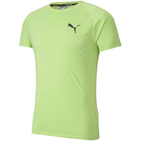 Koszulka męska Puma Rtg Tee Sharp zielona (581504 34)