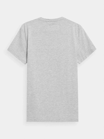 Koszulka męska 4F grey (4FSS23TTSHM537-27M)