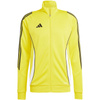 Bluza adidas Tiro 24 Training M (IR9493)