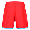 Szorty Reebok SWIM SHORT OCTAVIUS Czerwony (71062RD)