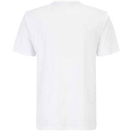 Koszulka Fila Berloz M FAM0340 10001