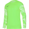 Koszulka Nike Dry Park IV JSY LS GK Jr CJ6072-702 (CJ6072702)