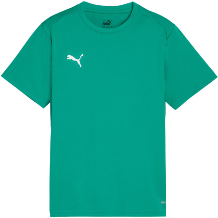 Koszulka dla dzieci Puma TeamGoal Jersey zielona (658637 05)