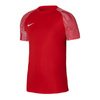 Koszulka Nike Dri-Fit Academy SS M (DH8031-657)