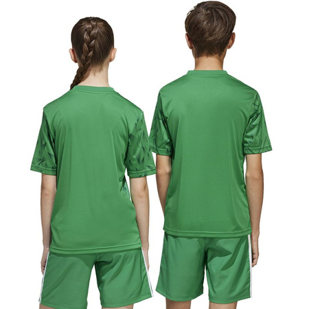 Koszulka adidas Team Icon 25 JSY Jr JJ1956 (JJ1956)