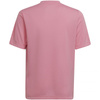 Koszulka adidas Entrada 22 Graphic Jersey Jr (HC2632)