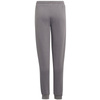 Spodnie adidas Entrada 22 Sweat Panty Y Jr (H57519)