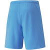 Spodenki Puma teamRise Short Team M 704942 18 (70494218)