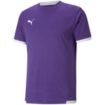 Koszulka Puma teamLIGA Jersey M 704917 10 (70491710)