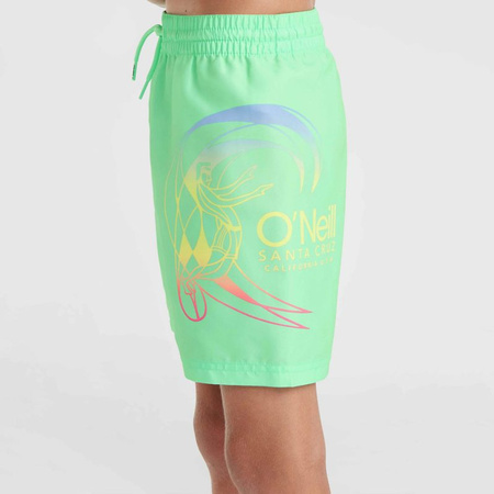 Szorty kąpielowe O'Neill Circle Surfer 14" Swim Shorts Jr (92800613206)