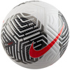 Piłka nożna Nike Futsal Soccer Ball (FB2894-100)