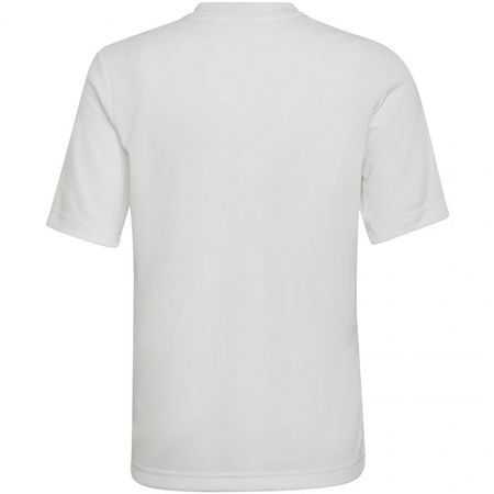 Koszulka adidas Entrada 22 Graphic Jersey Jr (HF0120)