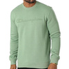 Męska bluza Champion Legacy CREWNECK SWEATSHIRT w kolorze zielonym (218283GS088)