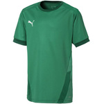 Koszulka Puma teamGOAL 23 Jersey Jr 704160 05 (70416005)