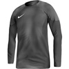 Koszulka bramkarska Nike Gardien IV Goalkeeper JSY M DH7967 060 (DH7967060)