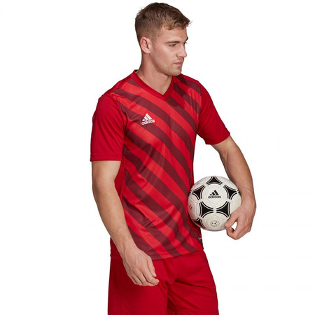 Koszulka adidas Entrada 22 Graphic Jersey M (HB0572)