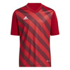 Koszulka adidas Entrada 22 Graphic Jersey Jr (H58983)