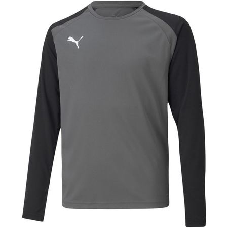 Bluza bramkarska Puma teamPacer GK LS Jersey Jr 704939 43 (70493943)