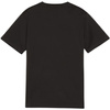 Koszulka dla dzieci Puma TeamGoal Jersey czarna (658637 03)
