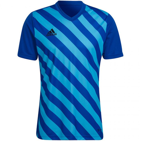 Koszulka adidas Entrada 22 Graphic Jersey M (HF0116)