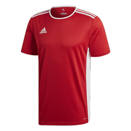 Koszulka adidas Entrada 18 (CF1038)
