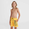 Szorty kąpielowe O'Neill Mix & Match Cali Floral 13'' Swim Shorts Jr (92800613854)