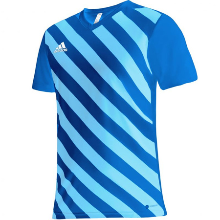 Koszulka adidas Entrada 22 Graphic Jersey Jr (HF0130)