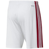 Spodenki adidas Squadra 21 Short M (GN5770)