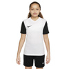 Koszulka Nike Dri-Fit Tiempo Premier 2 Jr (DH8389-100)