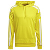 Bluza adidas Squadra 21 Hoody M (GP6438)