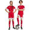 Spodenki dla dzieci adidas Squadra 25 czerwone (JJ2416)
