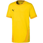 Koszulka Puma teamGOAL 23 Jersey Jr 704160 07 (70416007)