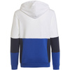 Bluza adidas Colourblock Hoodie Jr (HG6826)