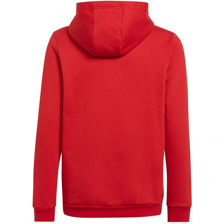 Bluza adidas Entrada 22 Hoody Jr (H57566)