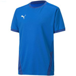 Koszulka Puma teamGOAL 23 Jersey Jr 704160 02 (70416002)