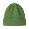 Czapka dla dzieci Champion Beanie Cap zielona (806070 GS149)