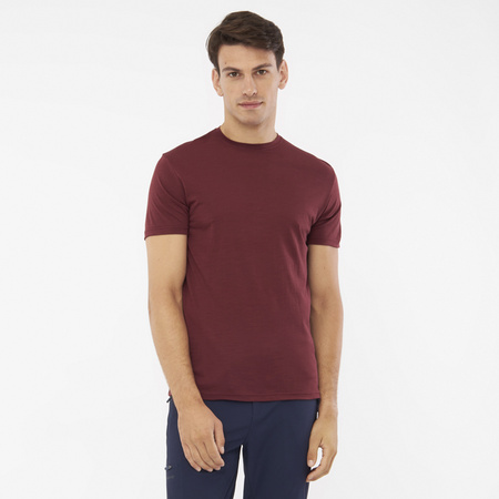 T-shirt męski VIKING Salen Man Merino bordowy (500/27/8465/3800)